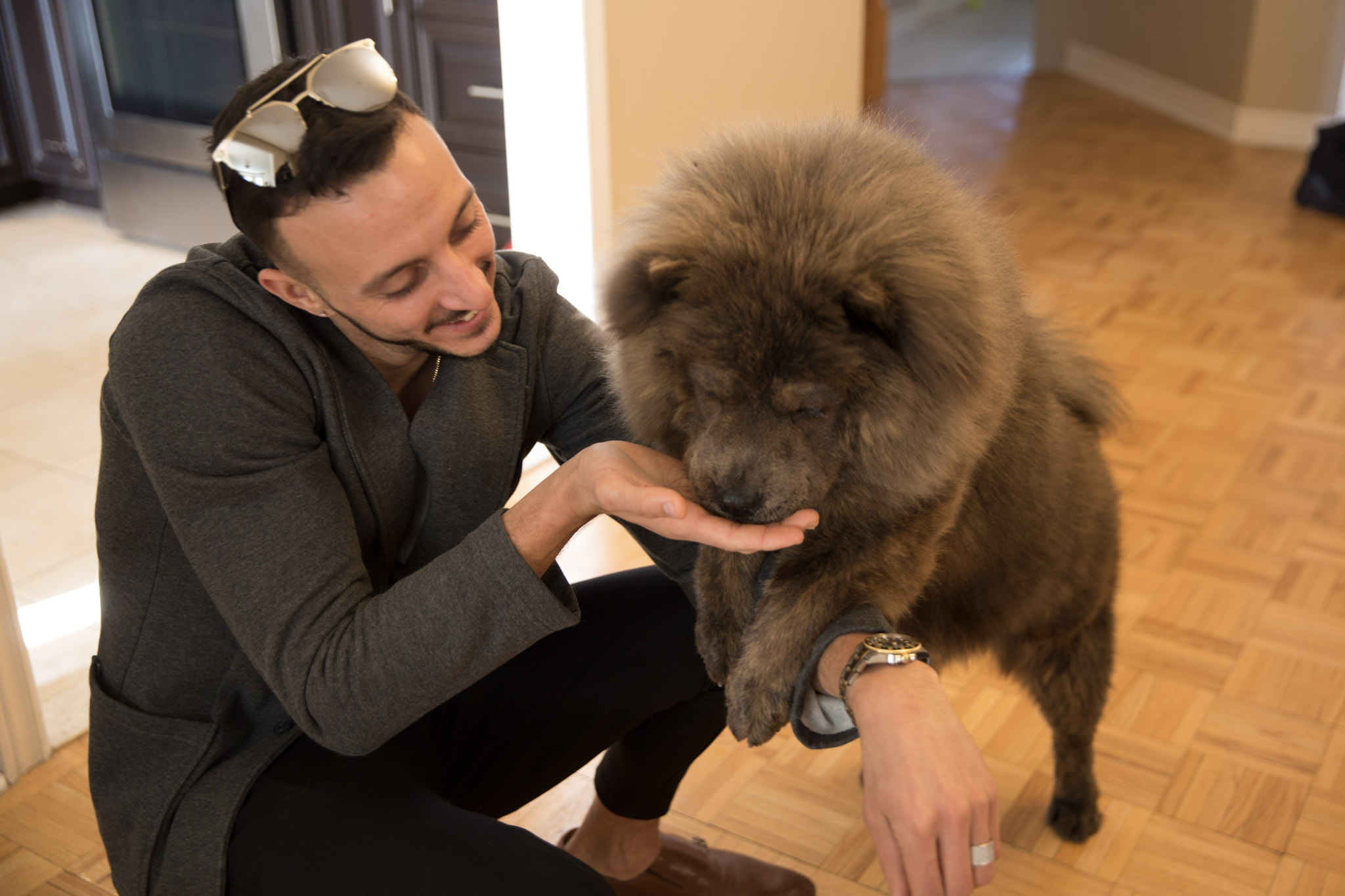 Dog Photography - Sapphire Package